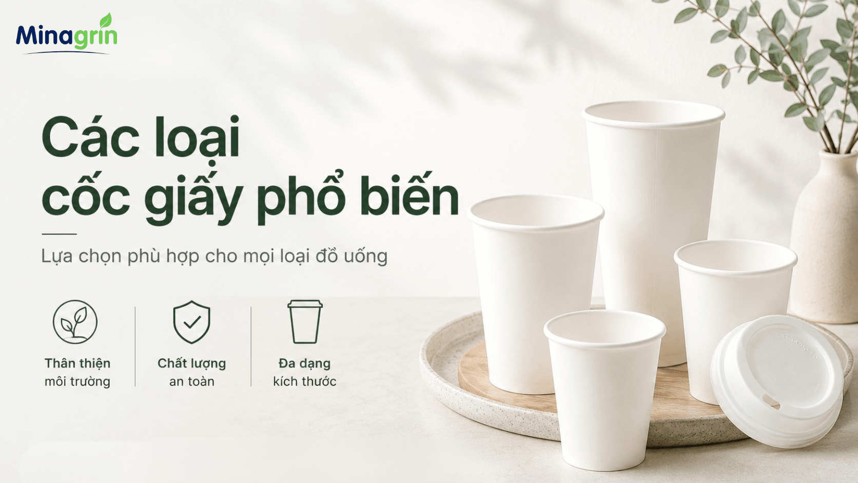 KHÁM PHÁ CÁC LOẠI CỐC GIẤY PHỔ BIẾN NHẤT TRÊN THỊ TRƯỜNG HIỆN NAY
