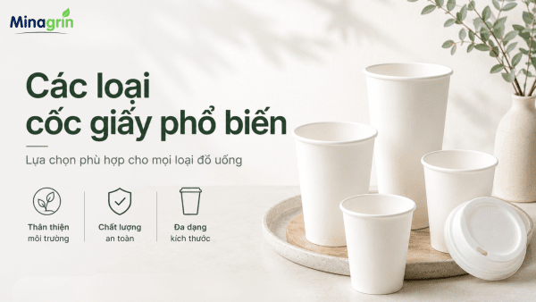 KHÁM PHÁ CÁC LOẠI CỐC GIẤY PHỔ BIẾN NHẤT TRÊN THỊ TRƯỜNG HIỆN NAY